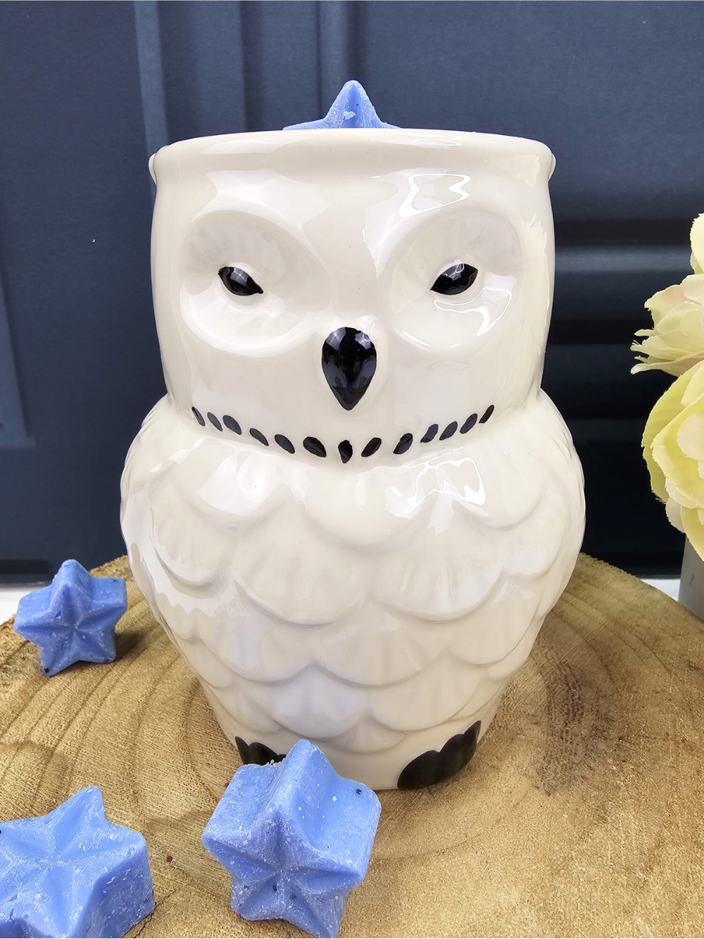 Iridescent Owl Shaped Wax Melt Burner